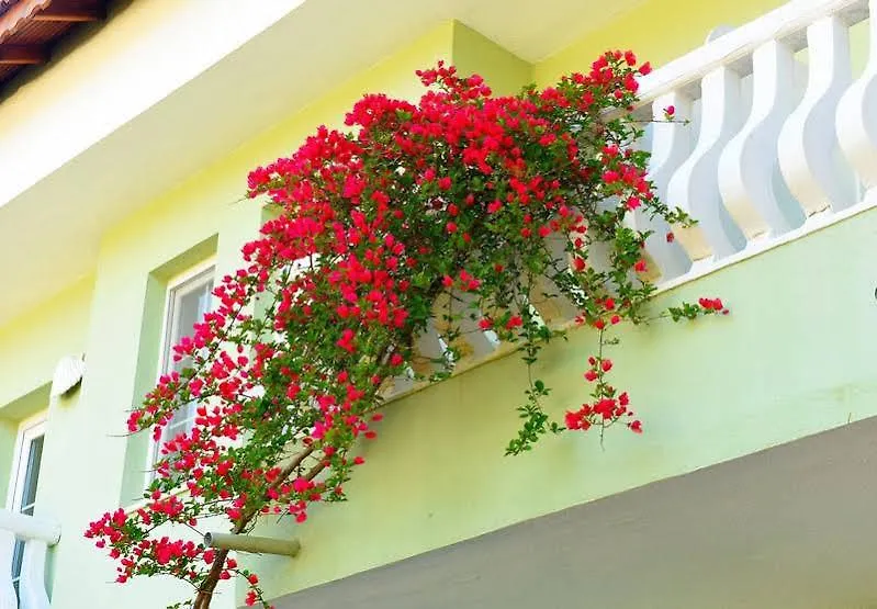 Oludeniz Turquoise Hotel
